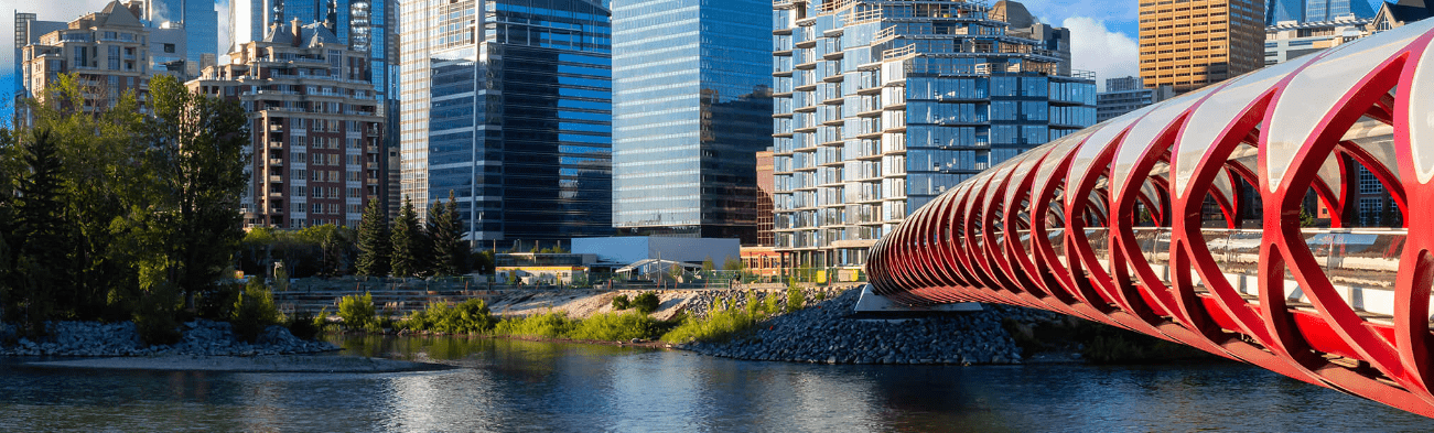 Shaping Alberta's Future